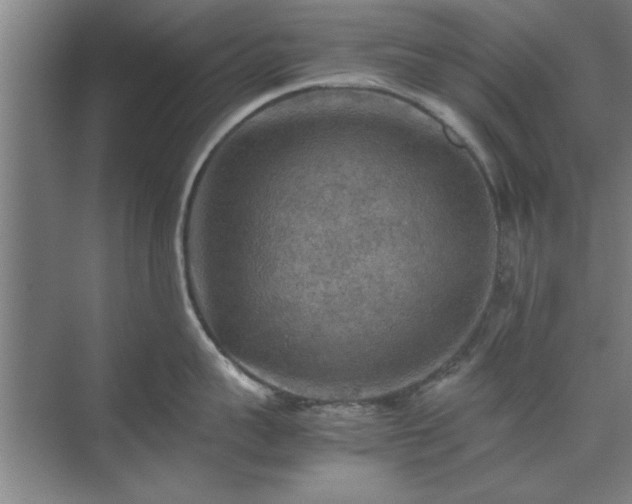 X0000071760959200607071232