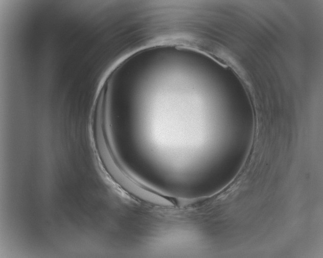 X0000071760960200607071232