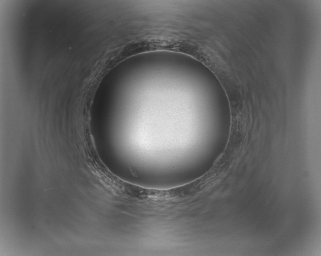 X0000071760961200607071232