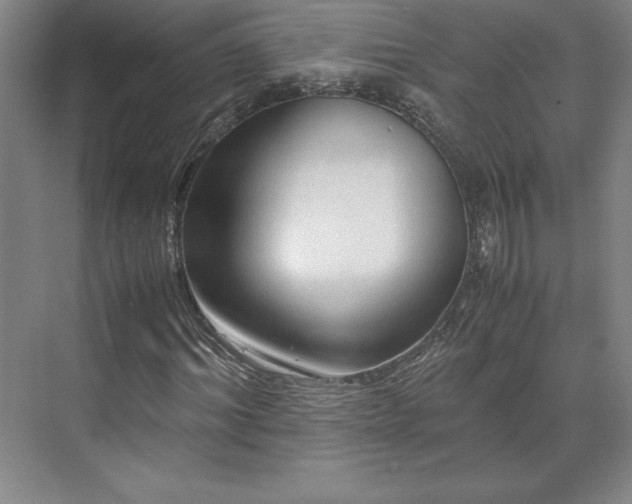 X0000071760964200607071232