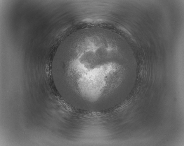 X0000071760966200607071232