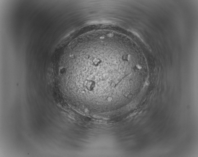 X0000071760967200607071232