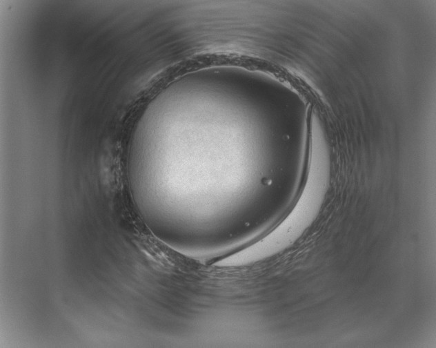 X0000071760968200607071232