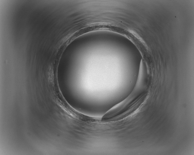 X0000071760969200607071231