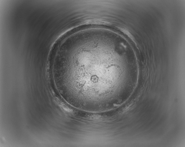 X0000071760971200607071231