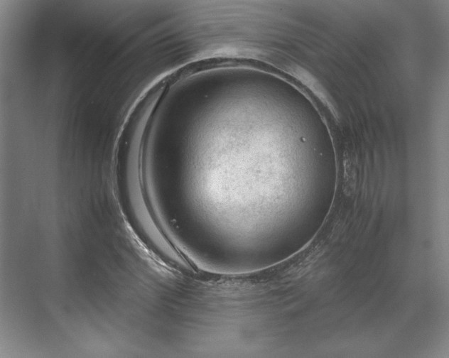 X0000071760972200607071231