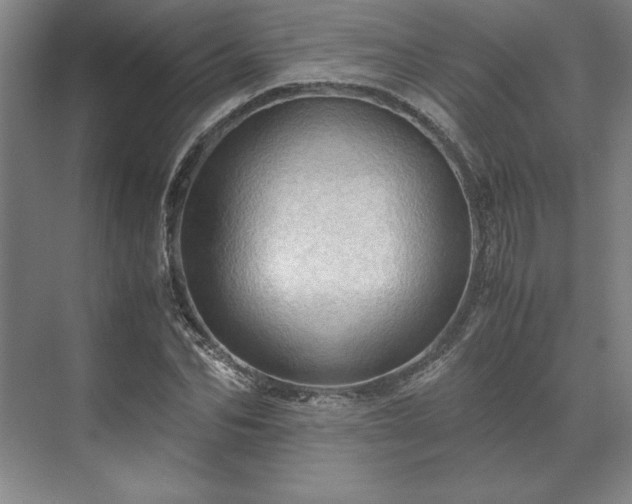 X0000071760974200607071231