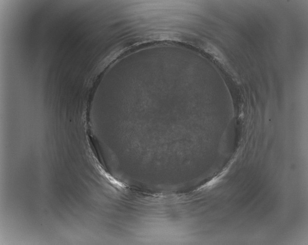 X0000071760977200607071231