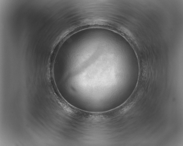 X0000071760978200607071231