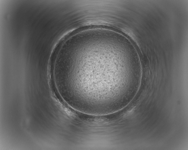 X0000071760979200607071231