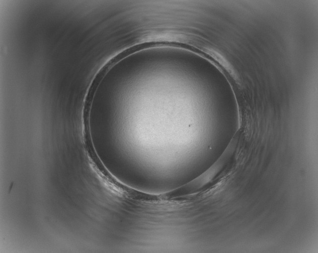 X0000071760980200607071231