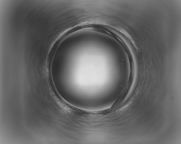 X0000071760981200607071231