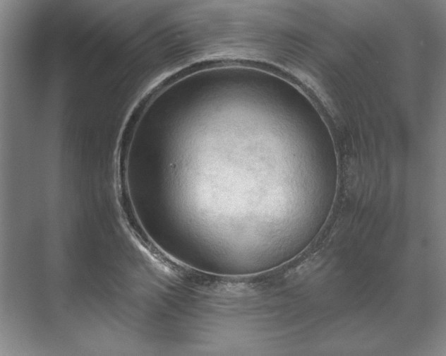 X0000071760982200607071231