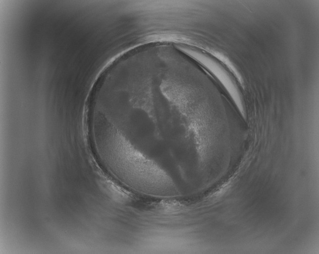 X0000071760983200607071231