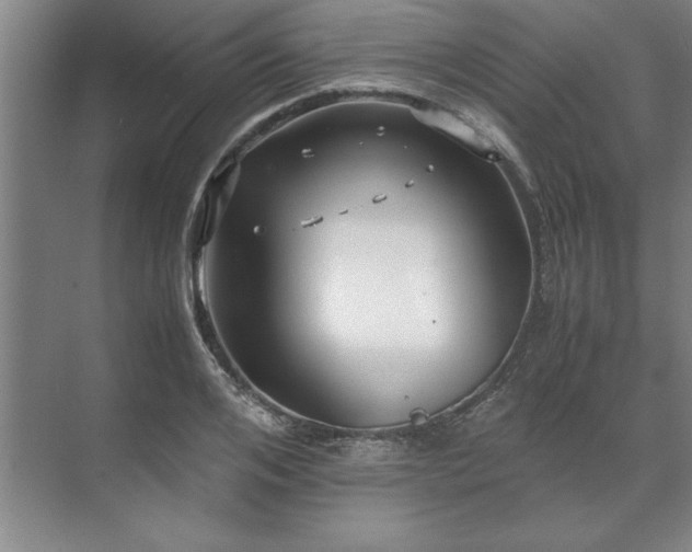 X0000071760984200607071231