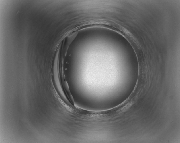 X0000071760985200607071231