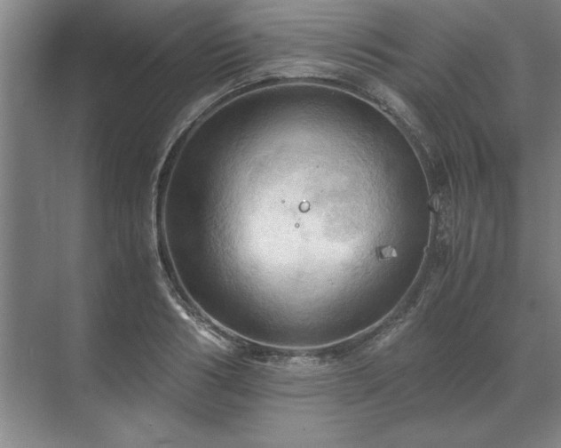 X0000071760986200607071231