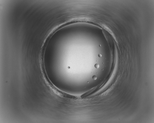 X0000071760989200607071231