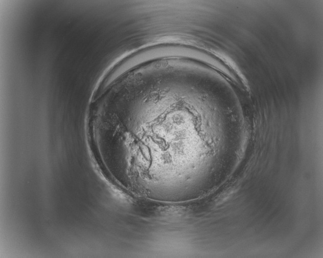 X0000071760991200607071231