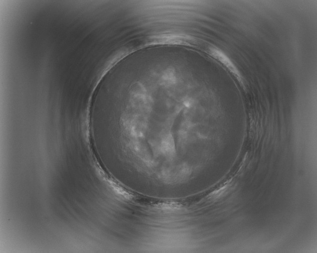 X0000071760994200607071231