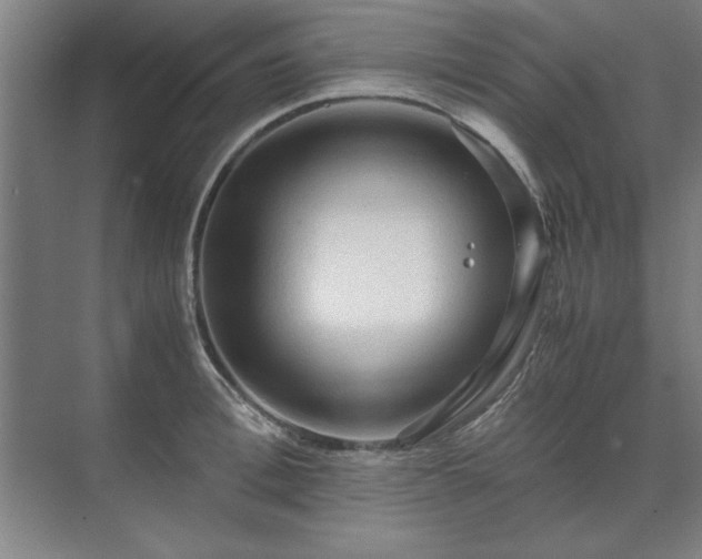 X0000071760996200607071231