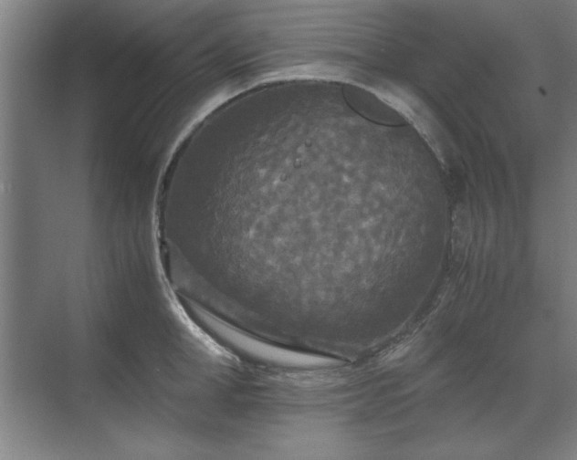 X0000071760998200607071231