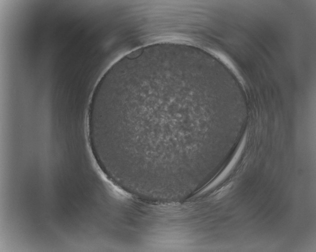 X0000071760999200607071231