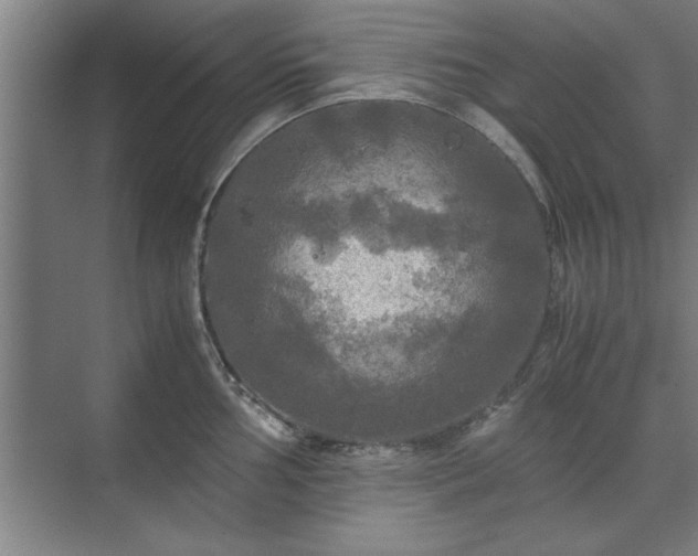 X0000071761002200607071231