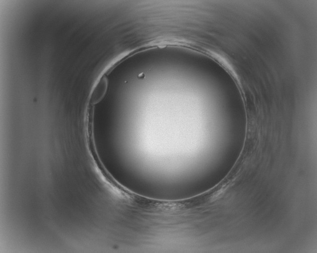 X0000071761003200607071231