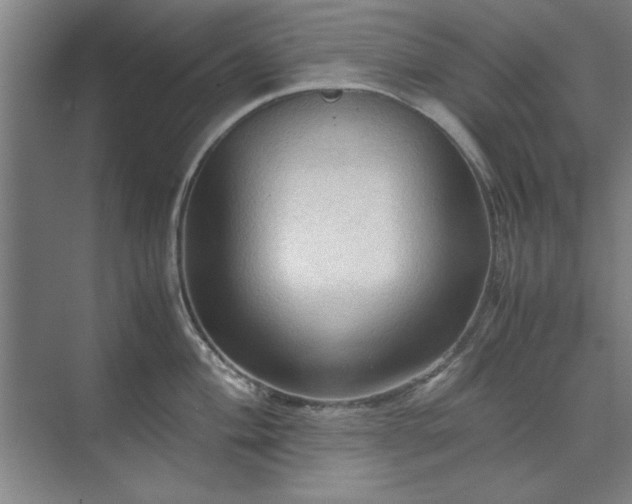 X0000071761004200607071231