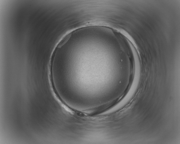 X0000071761005200607071231