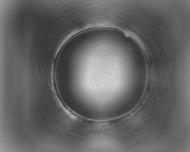 X0000071761006200607071231