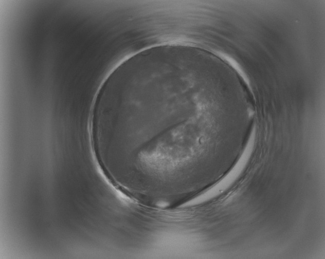 X0000071761007200607071231