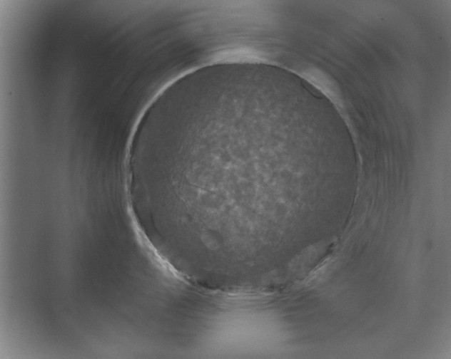 X0000071761008200607071231