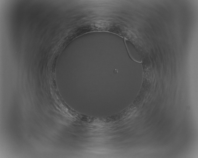 X0000071761009200607071230