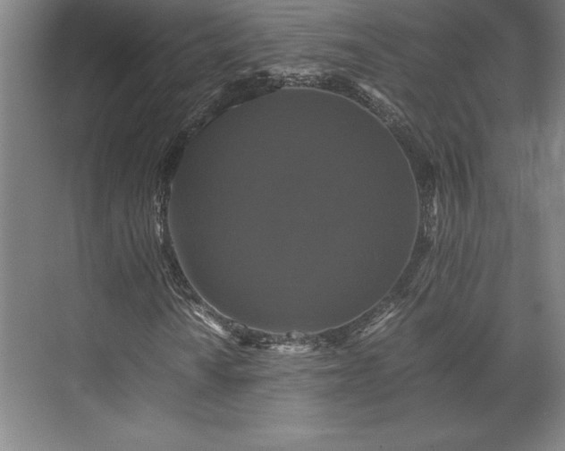 X0000071761010200607071230