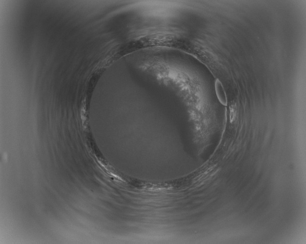 X0000071761011200607071230