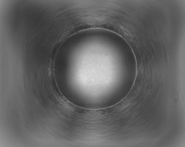 X0000071761012200607071230