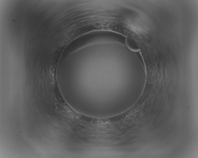 X0000071761013200607071230