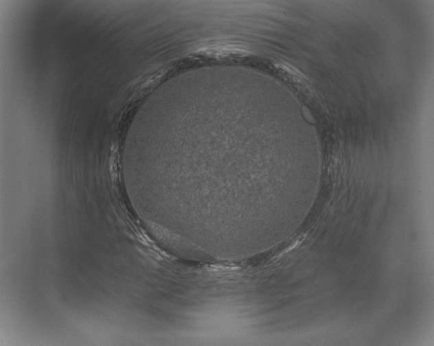 X0000071761014200607071230