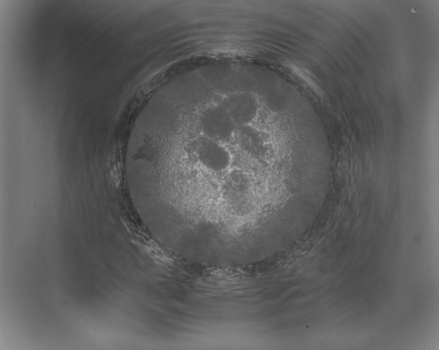 X0000071761015200607071230