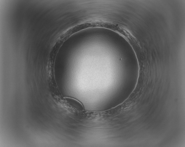 X0000071761016200607071230