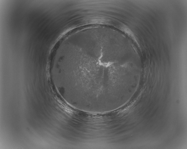 X0000071761019200607071230