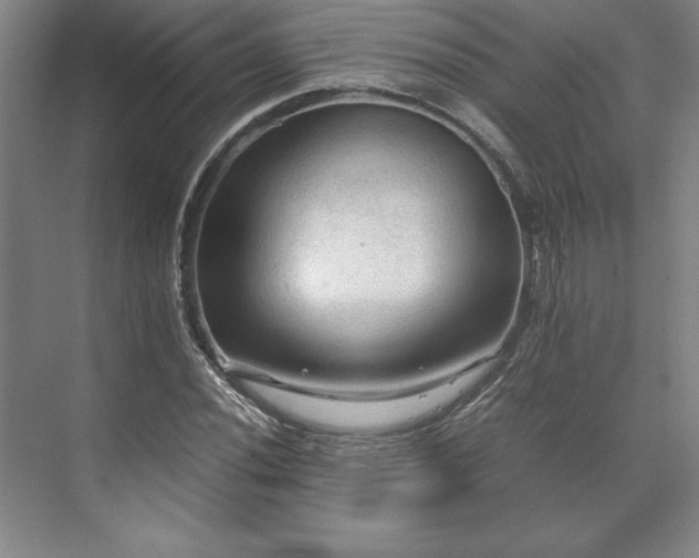 X0000071761020200607071230