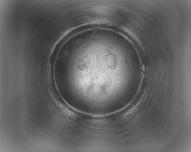 X0000071761021200607071230