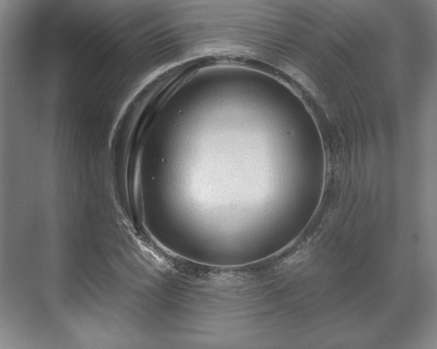 X0000071761022200607071230