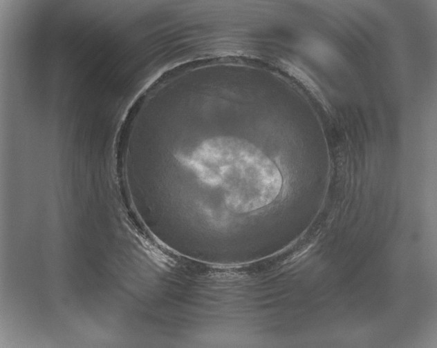 X0000071761023200607071230