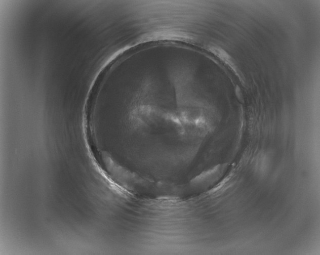 X0000071761024200607071230