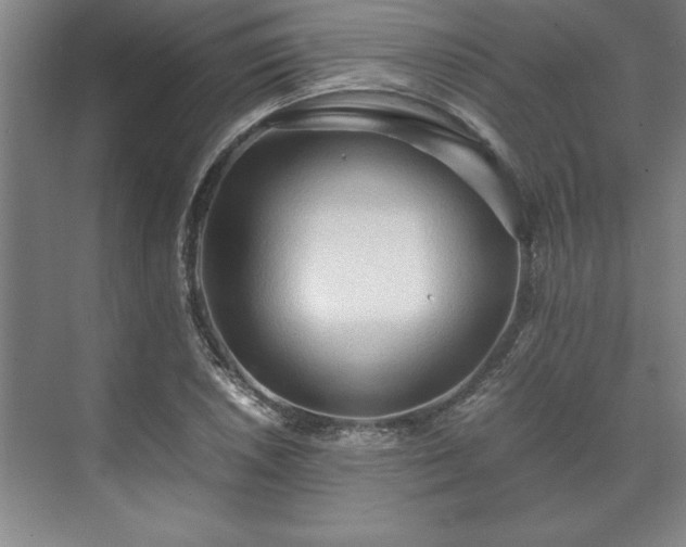 X0000071761026200607071230