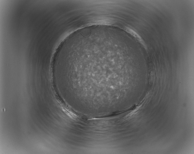 X0000071761027200607071230